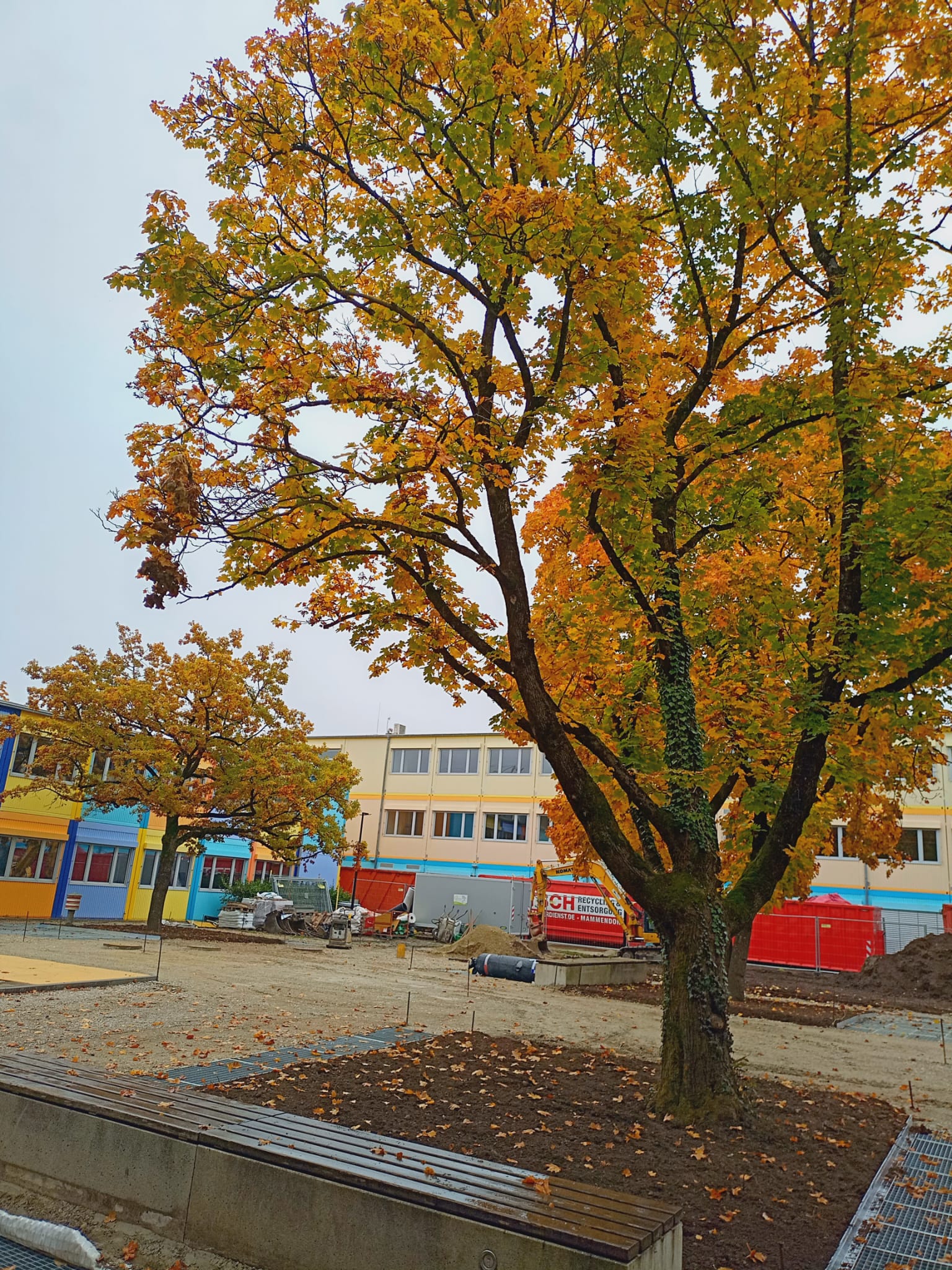 Schulhof Herbst 1